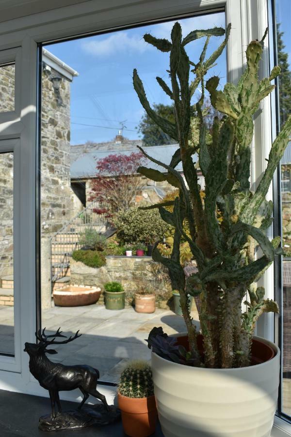 Treveighan Farmhouse Saint Teath Bagian luar foto